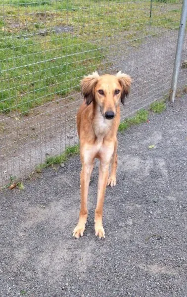 12822683 10153224666745194 887508988 o