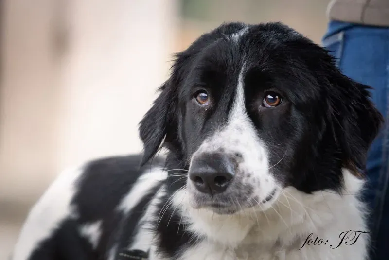 12822764 981827718553298 620939695 o