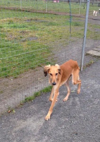 12822805 10153224667090194 1505162621 o