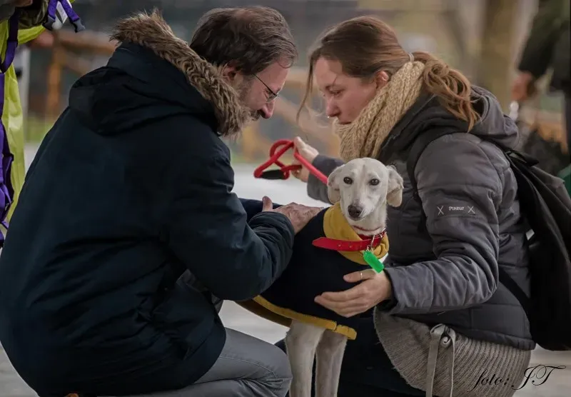 12823038 982386285164108 1480089736 o