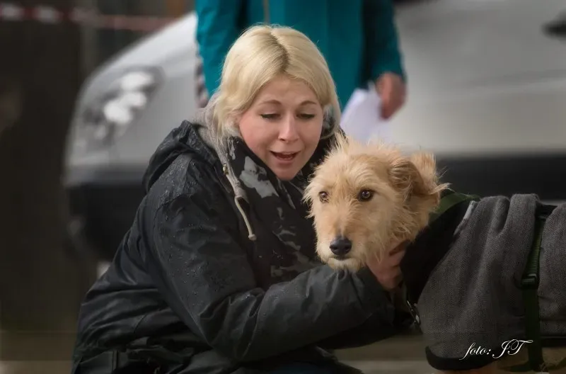 12823043 981827628553307 1305140169 o