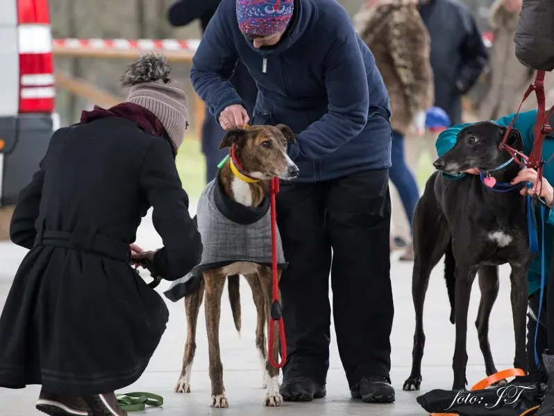 12823150 982387685163968 1107535085 o