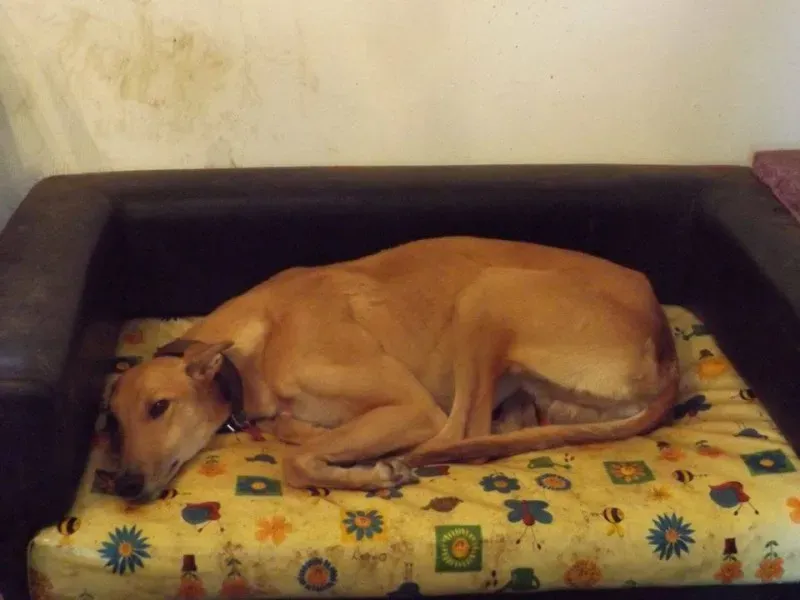 12825159 10153233601585194 787538712 n