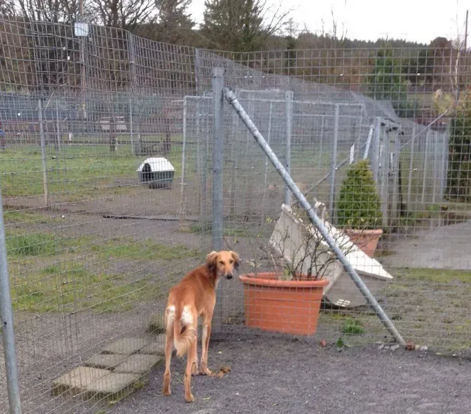 12825286 10153224669000194 1483157253 n