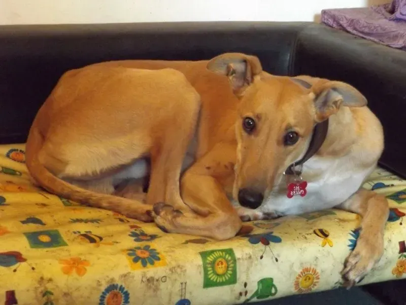 12833260 10153233601615194 1512270129 n