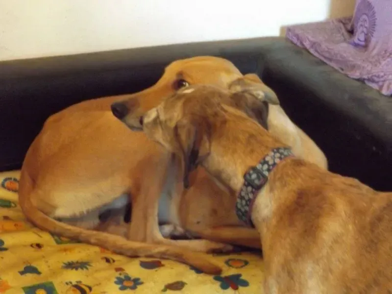 12834497 10153233601580194 11204348 n