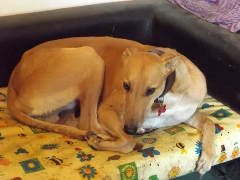 12834829 10153233601560194 1023953197 n