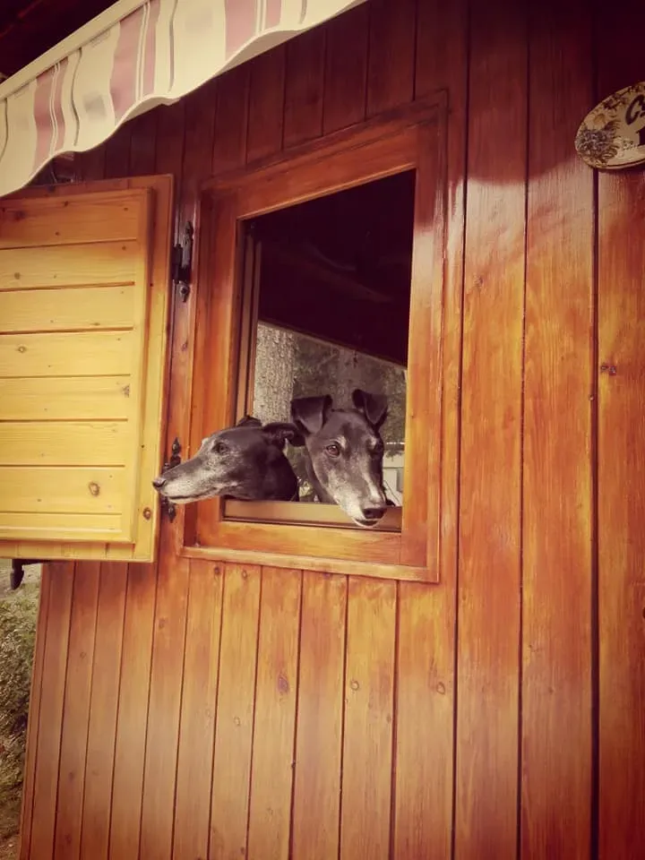 128361942 10221570310864945 4909554020799282812 n