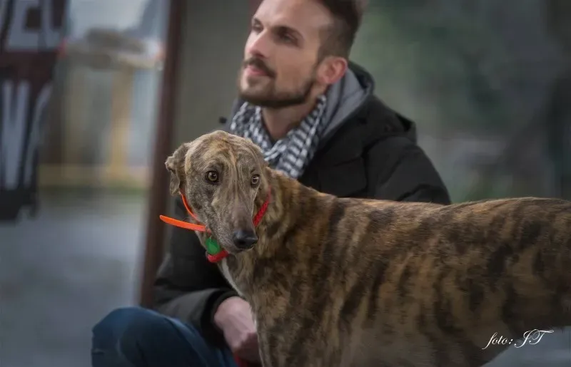 12837140 982387055164031 862965217 o