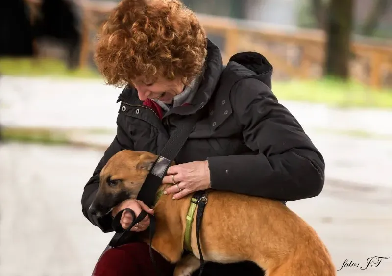 12837754 982385991830804 1286713835 o