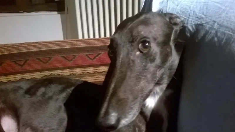 12841224 10208453410235863 3222525612659755571 o