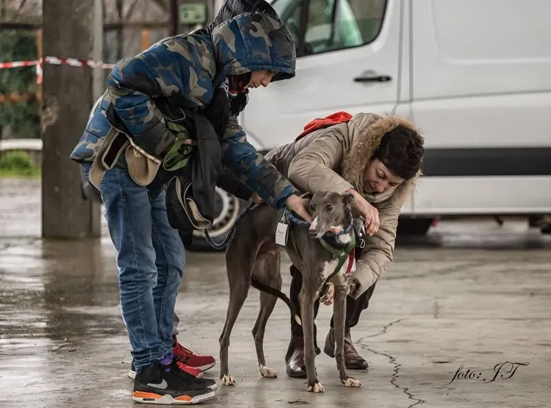 12842405 982386378497432 549577299 o