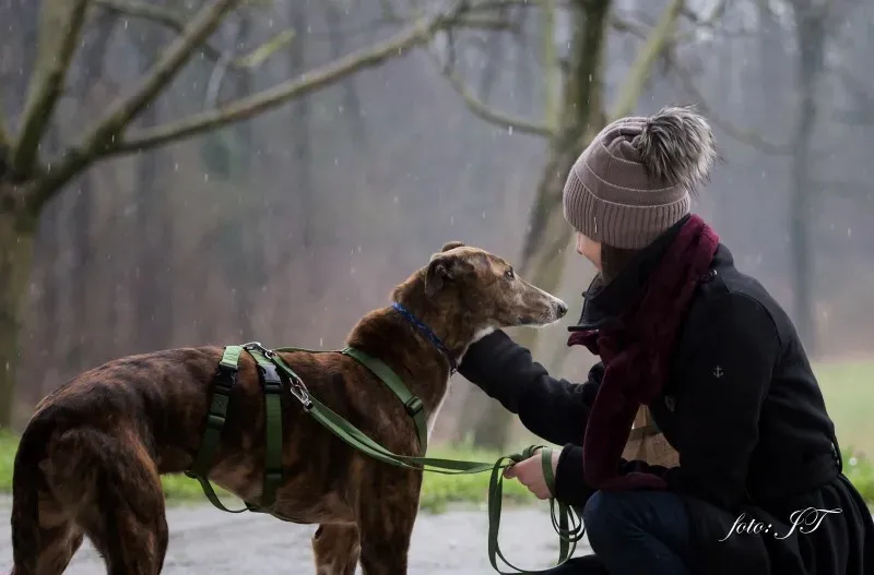 12842588 982388211830582 2040624255 o