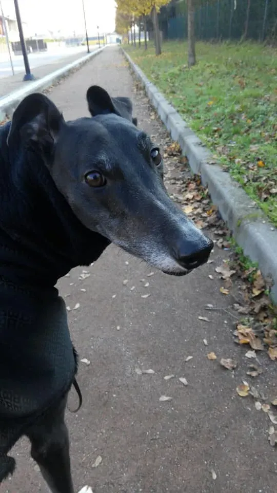 128642319 10221570306864845 399914115441878346 n