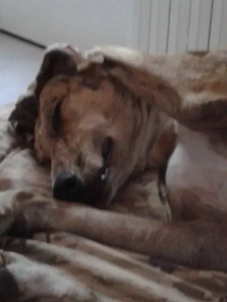 12871443 209484536078974 7917935562874620301 n