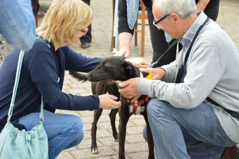 12871457 577113282457195 8642903370341494582 n