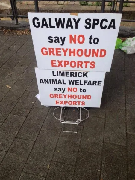 12871478 1038860069531181 948682138548255130 n 1