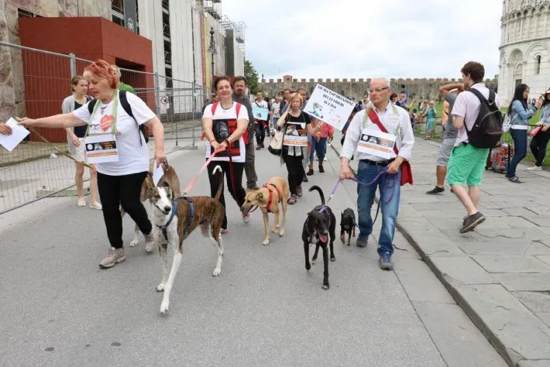 12871494 1040689642681557 6759288592360185265 n