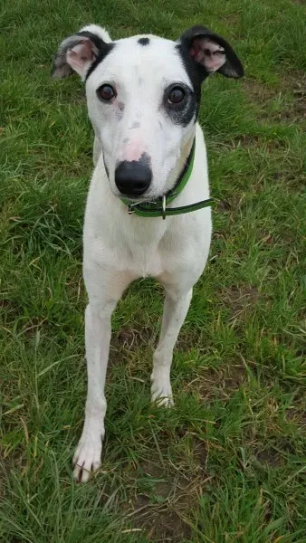 12873445 10207714271068348 364205146 o