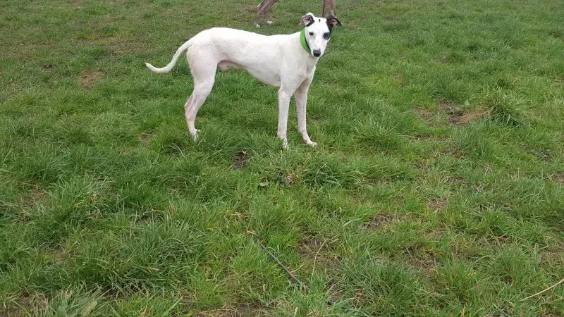 12873477 10207714272788391 1605444066 o