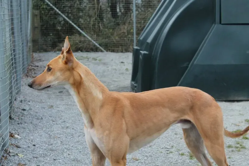 12873500 10153260963990194 347782763 o