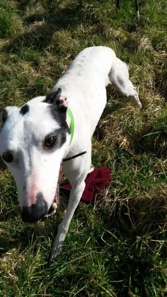 12874071 10207715141210101 68545403 o