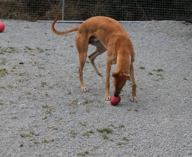 12874210 10153260962335194 325241431 o