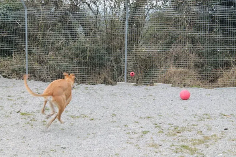 12874285 10153260965900194 933678052 o