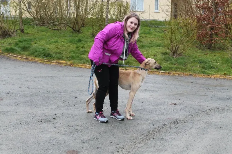 12891626 1205098842841146 7641917398644023412 o