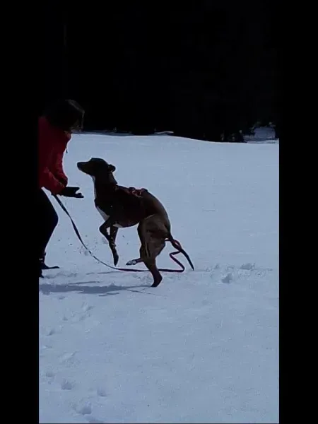 12919673 10207494111448757 8838914929575224797 n