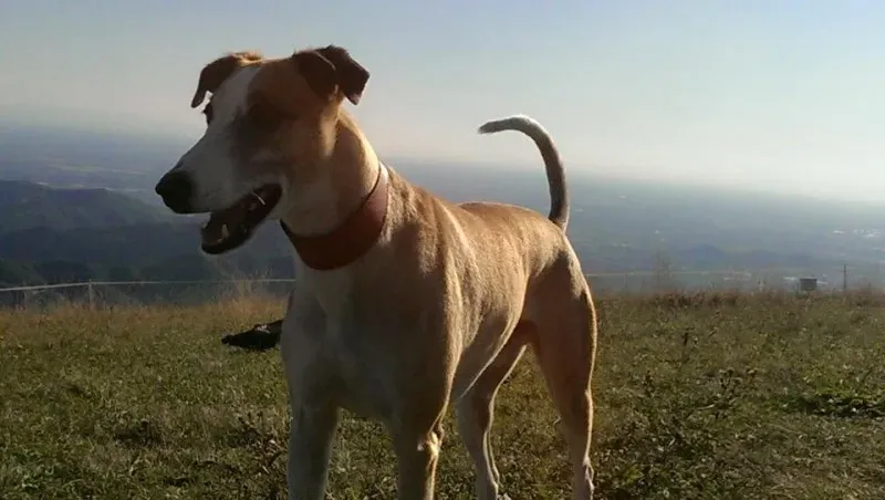 12923352 1326485224035560 4214637995581862088 n