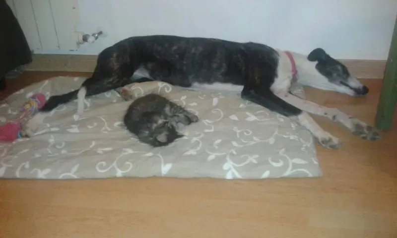 12924328 1001431753274013 1168263881654850003 n