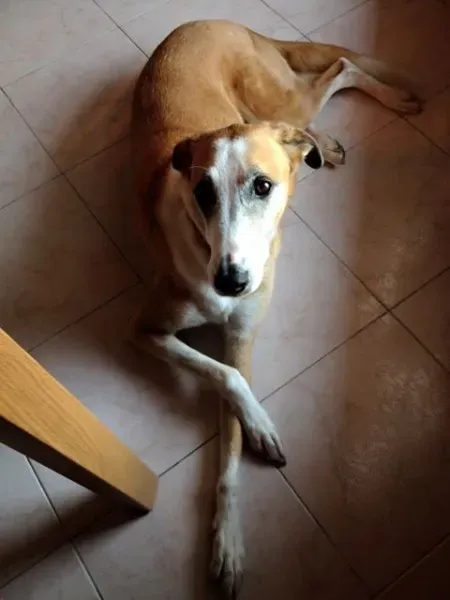 12928123 1326485194035563 4365218630739594762 n