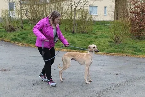 12932929 1205098699507827 7768597667968780816 n