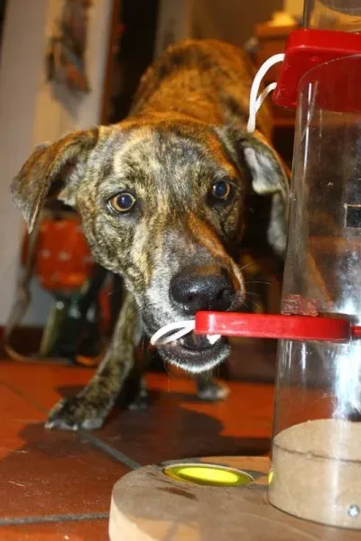 12936743 10207707640841696 3128551393469769901 n