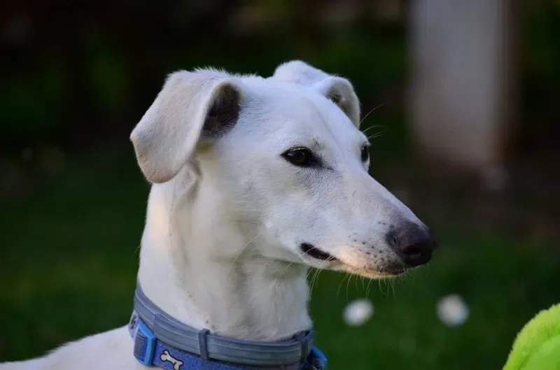 12963413 10207191206993466 707184379094669120 n