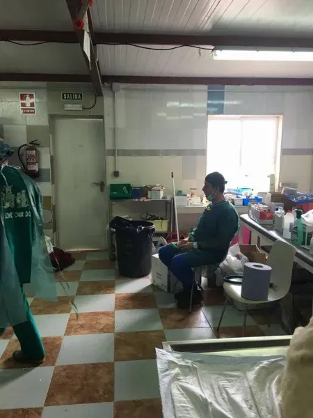 12963901 1007981572619031 1605469663782827367 n