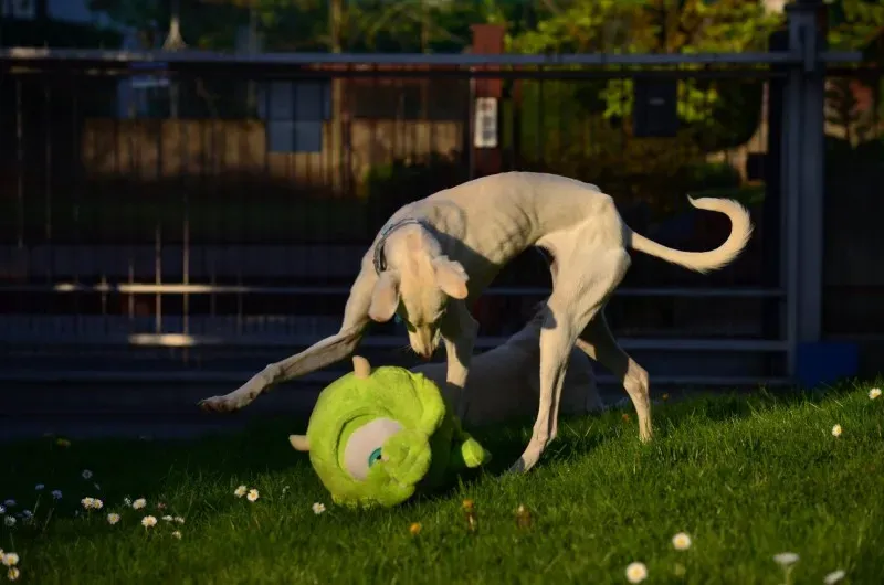 12968061 10207183145351930 165968021309624531 o