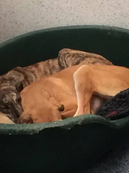 12969325 1800085063552806 2025535114 n 1