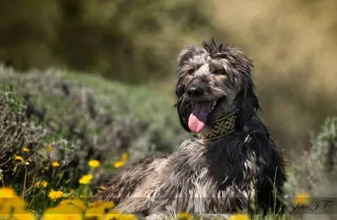 12974471 10206099952353515 1046548357274467096 n