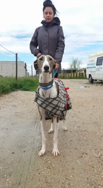 12985440 1009500139133841 3138646937551798718 n