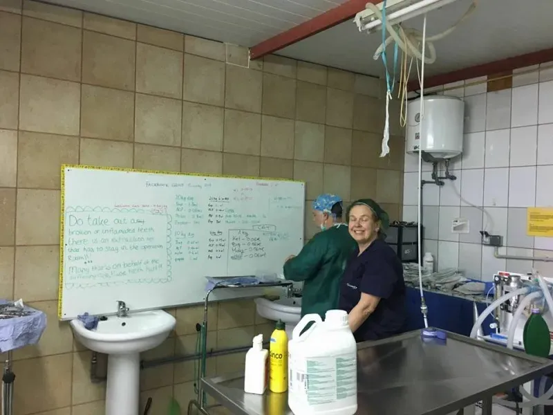 12985606 1007981325952389 7242068502905480187 n