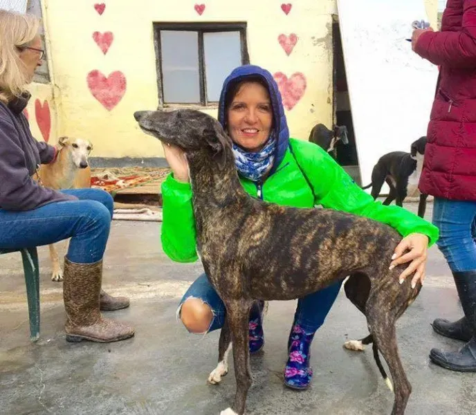 12987994 1026129047478698 1663868890 n