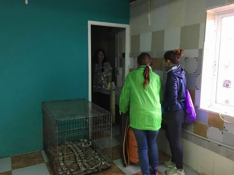 12990968 1007981509285704 165191931576992046 n