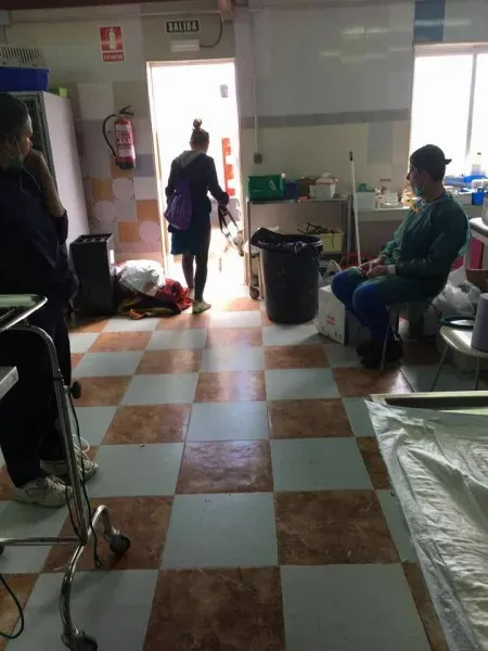 12991011 1007981529285702 7288531556043836484 n