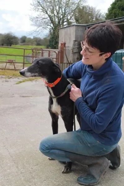 12992088 1025667477524855 673277725 n