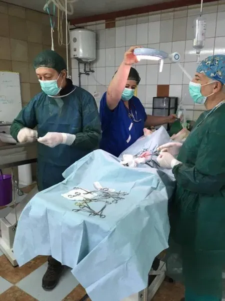 12992753 1025700764188193 869746218 n