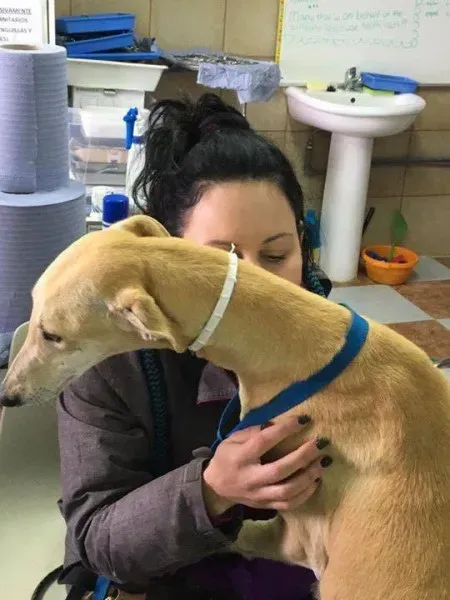 12992903 1026129020812034 641163305 n