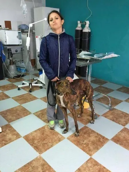 12993000 1026128997478703 1054743808 n