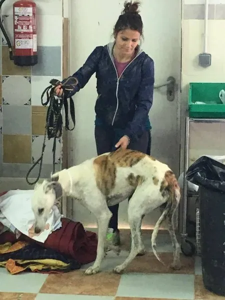 12994452 1007981389285716 8058845317385987583 n